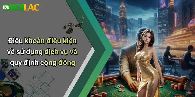 Điều khoản điều kiện về sử dụng dịch vụ và quy định cộng đồng