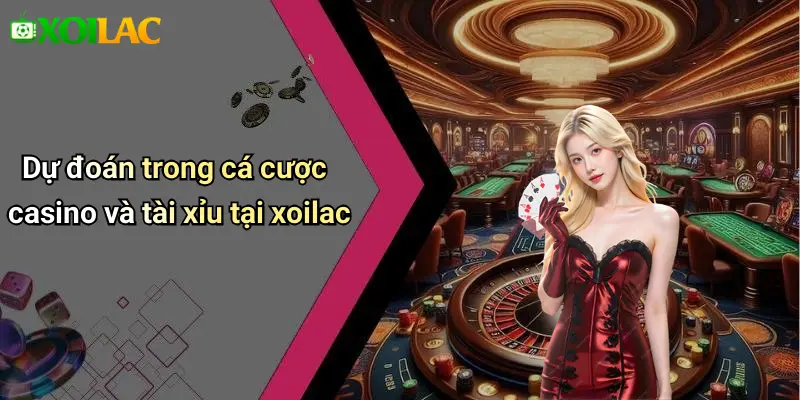 Dự đoán trong cá cược casino và tài xỉu tại xoilac