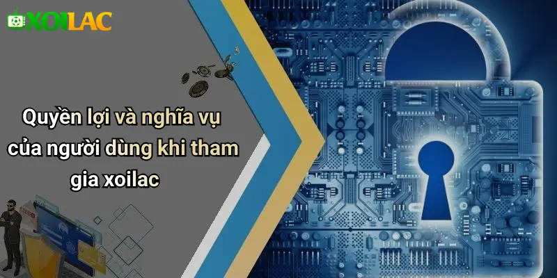 Quyền lợi và nghĩa vụ của người dùng khi tham gia xoilac
