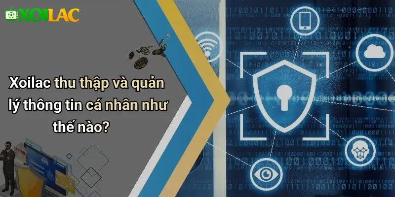 Xoilac thu thập và quản lý thông tin cá nhân như thế nào?