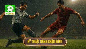 Kỹ thuật đánh chặn bóng