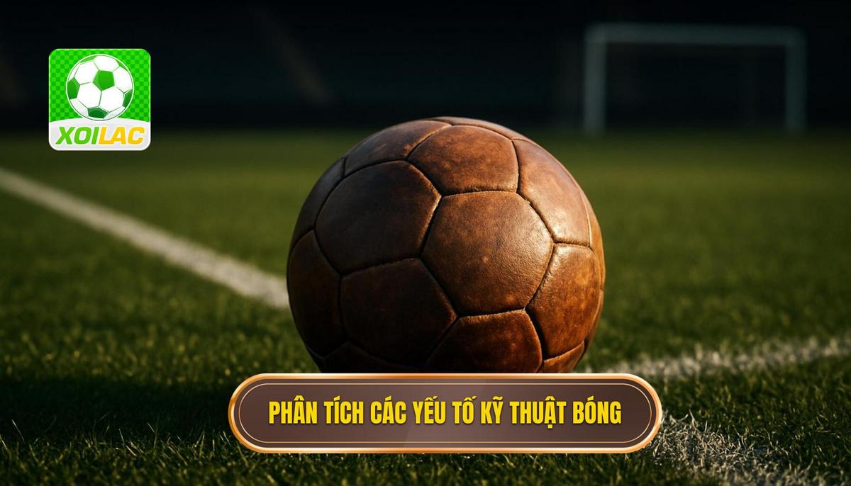 Phân Tích Chuyên Sâu Các Yếu Tố Cấu Thành Kỹ Thuật Đánh Chặn Bóng
