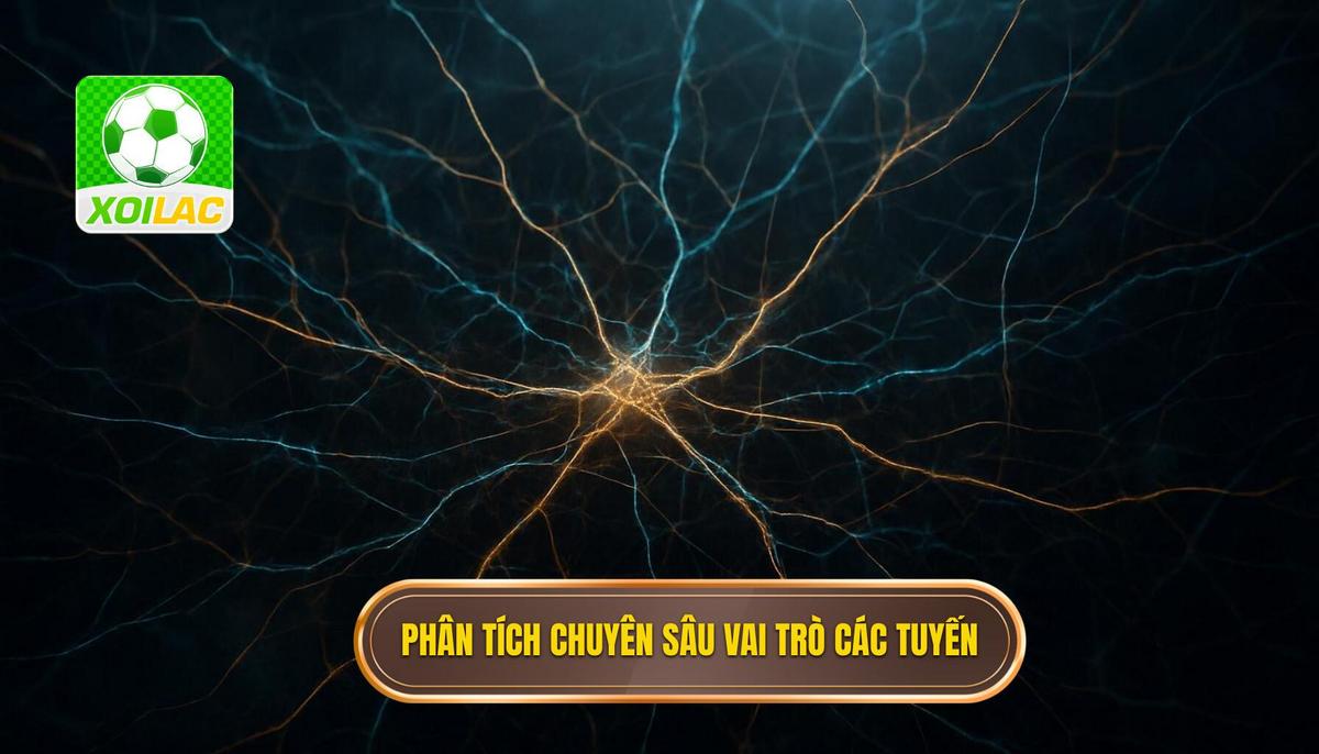 Phân Tích Chuyên Sâu Vai Trò Từng Tuyến