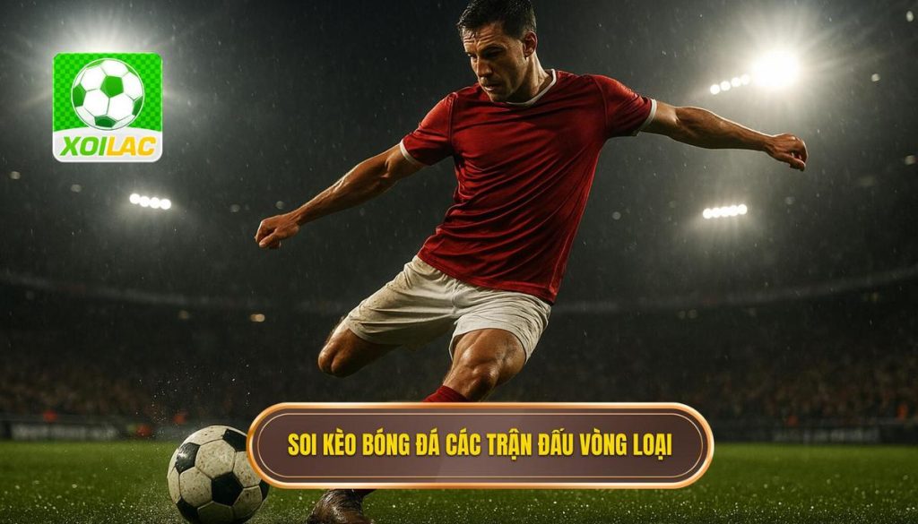 Soi kèo bóng đá các trận đấu vòng loại