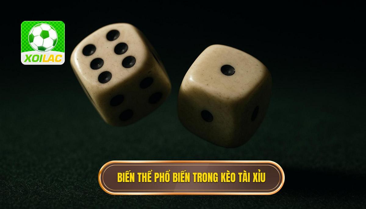 Bản chất và các biến thể phổ biến trong kèo tài xỉu