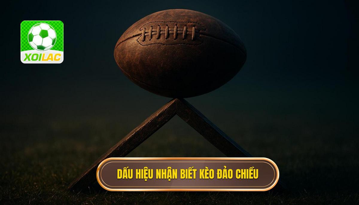 Dấu hiệu nhận biết kèo đảo chiều chuẩn xác nhất