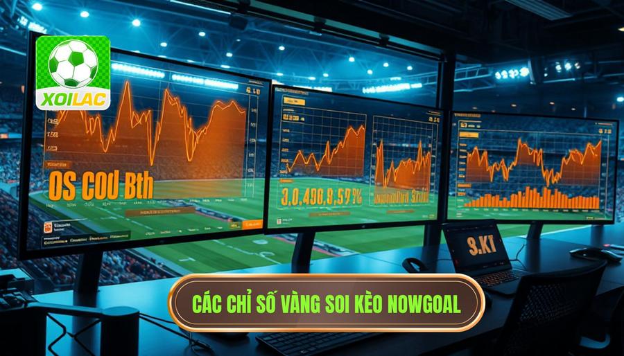 Phân tích các chỉ số vàng khi soi kèo rung trên Nowgoal