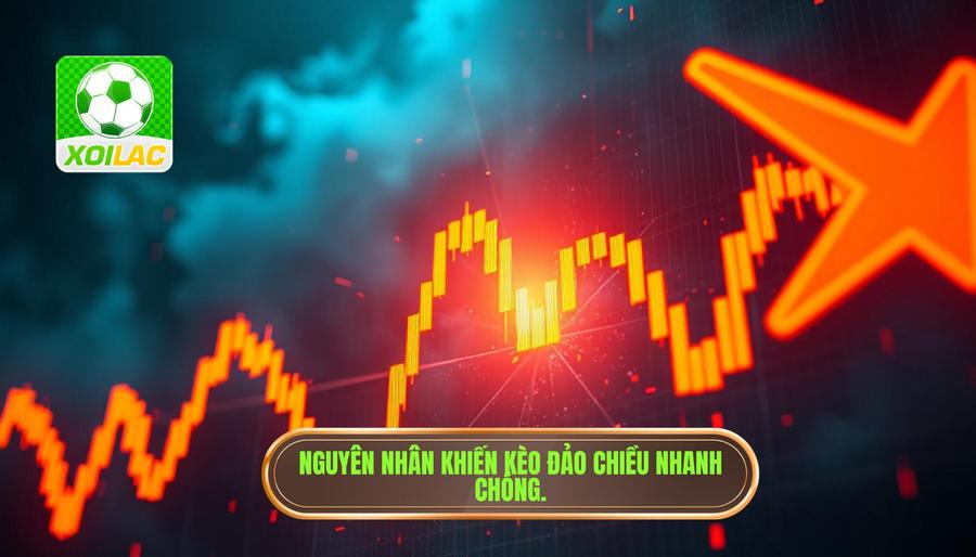 Những nguyên nhân khiến kèo đảo chiều thần tốc