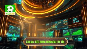 Kèo rung mạnh theo diễn biến Nowgoal: Nghệ thuật săn thưởng đỉnh cao cho bet thủ