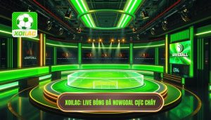 Live Bóng Đá Hôm Nay Cực Cháy Nowgoal: Trải Nghiệm Đỉnh Cao Tại Xoilac